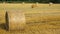 Freshly rolled hay bales in a field in Tuscany Italy. Golden and relaxing contest. Summer season