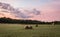 Freshly rolled hay bales rest on rolling hill with dramatic cloudscape at sunrise