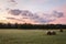 Freshly rolled hay bales rest on rolling hill with dramatic cloudscape at sunrise