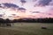 Freshly rolled hay bales rest on rolling hill with dramatic cloudscape at sunrise