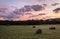 Freshly rolled hay bales rest on rolling hill with dramatic cloudscape at sunrise