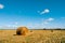 Freshly rolled hay bales on wheat field