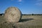 Freshly rolled up large bale of hay standing in a farm field with many bales of hay in the background. The sky is