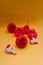 Freshly rose apple fruit isolated on orange background.