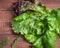 Freshly torn bunch of leafy red and green lettuce on a wooden Board table