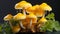 Freshness of autumn yellow leaf, edible mushroom, green grass generated by AI