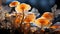 Freshness and beauty in nature autumn edible mushroom growth generated by AI