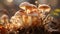 Freshness and beauty in nature autumn edible mushroom growth generated by AI