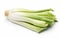 Freshness Captured Leeks on White Background