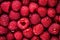 freshness and detail of raspberries with water drops in elegant atmosphere, Generative AI