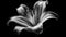 Freshness and Fragility of a Single Tulip in Black and White generated by AI