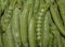 Freshness garden nutrition nature isolated ingredient pepper closeup plant diet peas agriculture organic vegetarian raw healthy gr