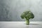 Freshness meets minimalism, broccoli head on a grey concrete surface