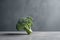 Freshness meets minimalism, broccoli head on a grey concrete surface