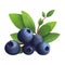 Freshness of nature bounty ripe, juicy blueberry