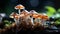 Freshness in nature Edible mushroom growth on forest floor generated by AI
