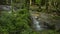 The freshness of nature in fertile forest with water stream flowing from cascade into a small natural pond.