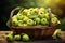 Freshness personified a basket holds an abundance of crisp and succulent green apples