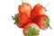 Freshness red strawberrys isolated on white background