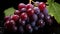 Freshness and sweetness of grapes, nature juicy and healthy snack generated by AI