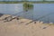 Freshwater angling with rods beside a lake. fishing rod on a prop and water background