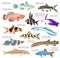 Freshwater aquarium fishes breeds icon set flat style isolated o