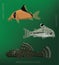 Freshwater Cory Catfish Set Cartoon Vector Illustration