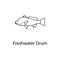 freshwater drum icon. Element of marine life for mobile concept and web apps. Thin line freshwater drum icon can be used for web a