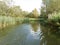 freshwater ecosystem river of a biesbosh natural park boating on the channel