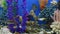 Freshwater exotic fishes in tropical aquarium.