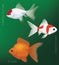 Freshwater Gold Fish Set Cartoon Vector Illustration