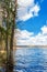 Freshwater lake with super clean blue water, pine trees and birche trees on the shore. landscape with blue sky and big white