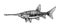 Freshwater paddlefish, rare commercial fish, delicious food, for logo or emblem, engraving