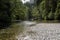 Freshwater River with Green Forest and Rocky Shore