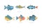 Freshwater and Saltwater Fish as Seafood Depicted in Flat Style Vector Set
