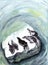 Freshwater seals of lake Baikal, watercolor graphic, travel sketch, copy space