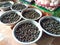 freshwater snails in bowl at Lao market