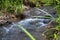 Freshwater spring in green grass. Summer landscape photo. Relaxing natural view of clean river stream waterfall