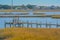 The freshwater wetlands of White Oak River on the Atlantic Coastal Plain in Onslow County, North Carolina