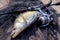 Freshwater zander and fishing equipment lies on wooden background