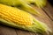 Freshy harvested corn in the wooden crate