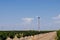 Fresno Wind Turbines on Farmland