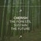 This friday, cherish the forests, sustain the future text and idyllic view of trees growing in woods