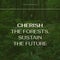 This friday, cherish the forests, sustain the future text over trees and plants growing in forest