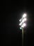 Friday night lights: Playing field floodlights against night sky #2