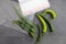 Fridge bag,healthy food storage bag, locked refrigerator bag and green peppers