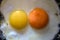 Fried chicken eggs from two eggs with yellow and orange yolk closeup