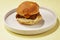 Fried Chicken Hamburger Professional High Quality Photography