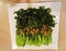 Fried Chinese Kale (Baby Kailan) with garlic.