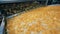 Fried chips getting onto a moving line at a food plant.